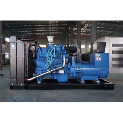 250kw玉柴柴油發電機組-玉柴6缸柴油機YC6MK420L-D20柴油發電機組,缸徑/行程：123/145mm,柴油發電機組水冷發動機功率309KW,柴油發電機組配套馬拉松斯坦福發電機。廠價直銷歡迎選購：13773399855。